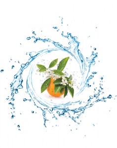 Ανθόνερο Νερολί 